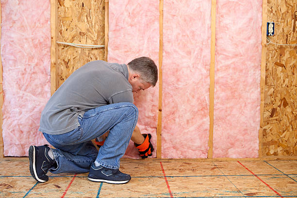 Best Insulation Materials and Products in Versailles, MO