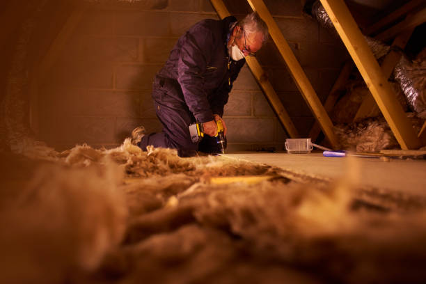 Best Types of Insulation in Versailles, MO